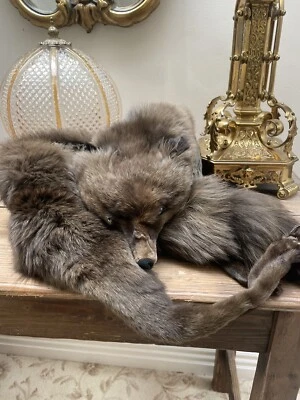 £29.97 • Buy Vintage Real Fur Brown Fox Stole