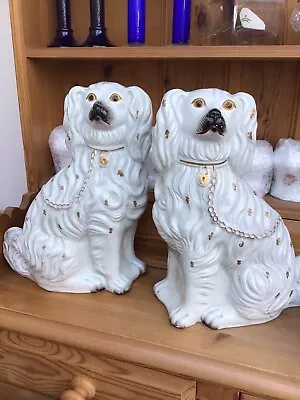 Vintage Staffordshire China Dogs ~ Stunning Pair Of King Charles Spaniels H14” • £105