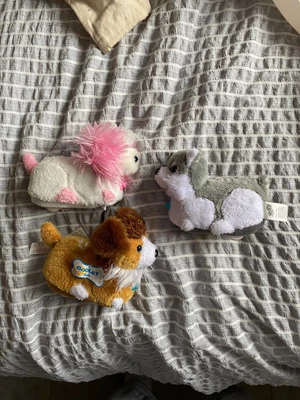 £2.50 • Buy Zhu Zhu Pets