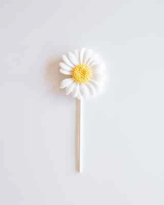 Daisy Flower Cake Topper • $8.99