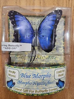 Elegant Aliforms Blue Morpho Moving Butterfly • $25