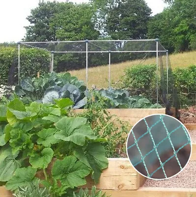 Vegetable Fruit Cages With Green Bird Netting Different Sizes Available • £40.93