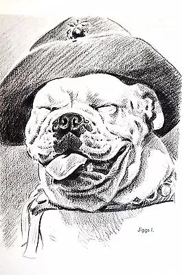 Morgan Dennis 1946 JIGGS The BULLDOG Wearing A Hat Vintage Matted Dog Print • $25