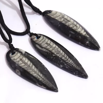 Natural Fossil Orthoceras Morocco Pendant Necklace With Black Braided Rope Chain • $5.99