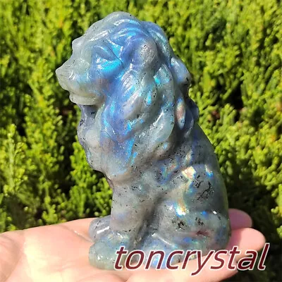 2 + Natural Labradorite Quartz Crystal Lion Skull Carved Animal Skull Reiki 1pc • $15.29