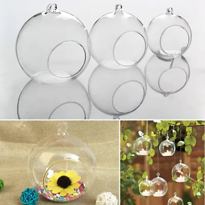 Globe Hanging Glass Plant Planter Flower Tealight Candle Terrarium Wedding Decor • £70.95
