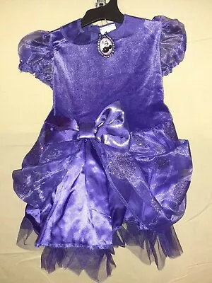 Toddler Disney Minnie Mouse Halloween Costume Dress  Purple - Size: 2T No Ears • $12.75