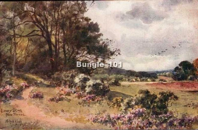 £1.50 • Buy [53383] 'Wilfrid Ball' New Forrest Hampshire Early Postcard C.1917