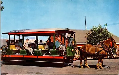 Edaville Railroad South Carver Massachusetts Horse Drawn Car Animals Postcard • $3