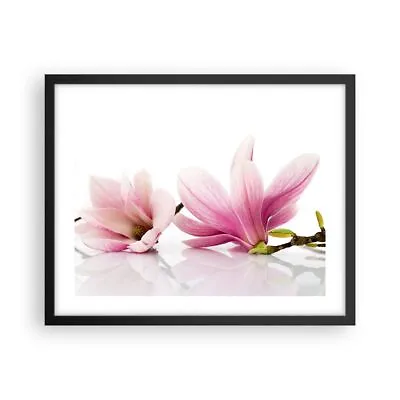 Poster Print 50x40cm Wall Art Picture Magnolia Flower Nature Plant Image Artwork • £52.79