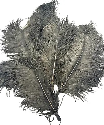 Antique 1800s Millinery Feather Lot Of 4 Black Ostrich Plume • $52