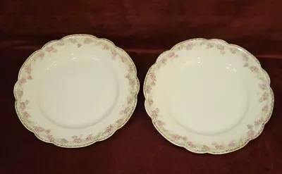 MZ Moritz Zdekauer Austria Set Of 2 Plates 7-3/4  Pink Roses Gold Accents • $18.99