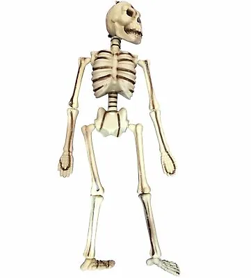 20  Realistic Moving Bones Halloween Hanging Horror Skeleton Party Decoration • £9.38
