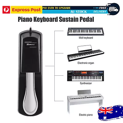 Piano Keyboard Sustain Damper Pedal Foot Switch For Digital Piano Keyboard • $18.99