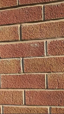 65mm Multi Sandface Facing Bricks • £150