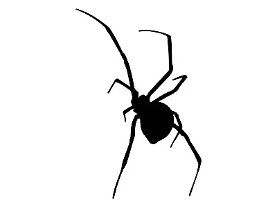 Spider Black Widow Silhouette Vinyl Decal Car Water Bottle Tumbler Sticker • $2.99