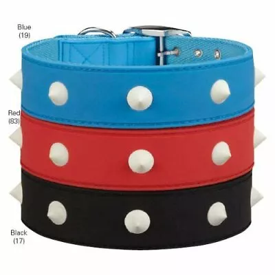 Zack & Zoey Glow Stud Collar 10 To 12-Inch Color Varies • $10.45