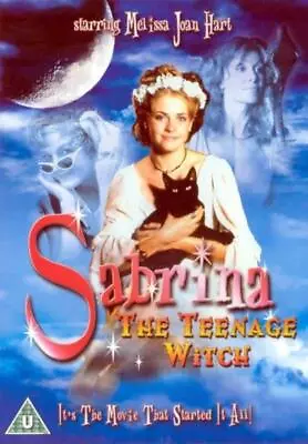 Sabrina The Teenage Witch - The Movie DVD Sherry Miller • £18.23