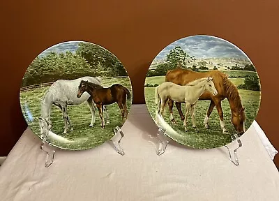 Horse Decor Porcelain Plate Kaiser Germany Vintage Mare & Foal           7.75” • $15