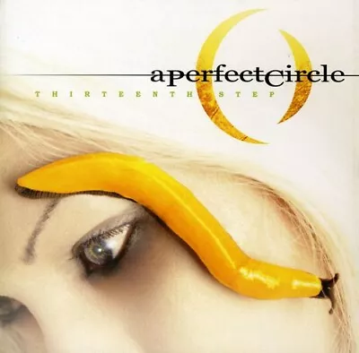 Thirteenth Step - Music PERFECT CIRCLE • $7.27