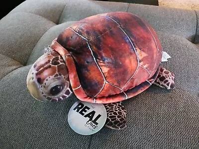 The Real Ones By Fiesta 12  Plush Turtle C20823 Brand New With Tags • $9.99