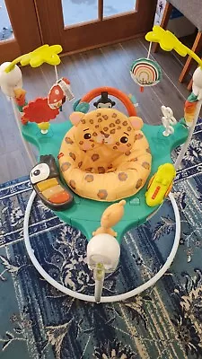 Fisher-Price Whimsical Forest Jumperoo Activity Centre Rocker Almost New • $1