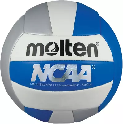 Recreational Volleyball • $29.99