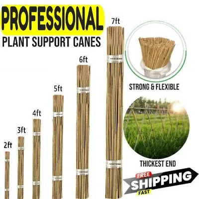 Bamboo Canes Heavy Duty Strong Garden Sticks Plant Flowers Support Stake • £6.99