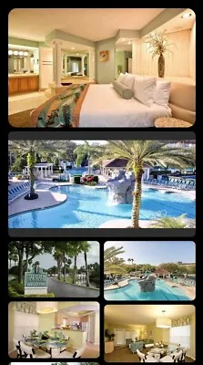 $549 • Buy JULY 1-July 8~ Wyndham Star Island Resort~Deluxe Condo ~ Slps 4~ 7/N
