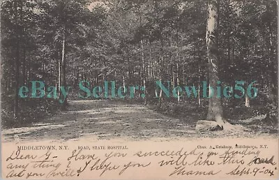 Middletown NY - ROAD TO STATE HOSPITAL - Raphael Tuck Postcard Insane Asylum • $10