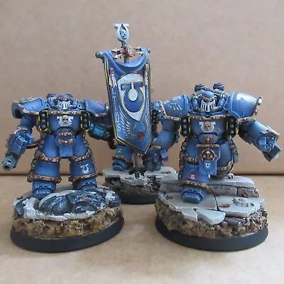 Space Marine Centurion Devastator Squad Citadel Pro Painted Warhammer Army Unit • £350