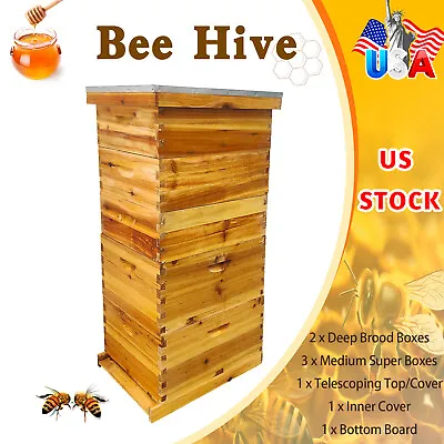 10-Frame 5 Boxes Size Beehive Frames /Bee Hive Frame/ Bee House For Beekeeping • $138.89