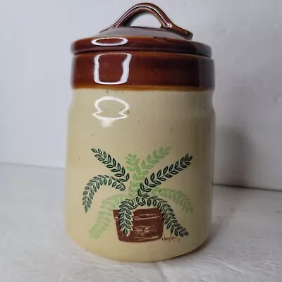 Daekor Vintage 6.5 Inch Canister With Nancy Lynn Leaf Plant In Pot Design • $16