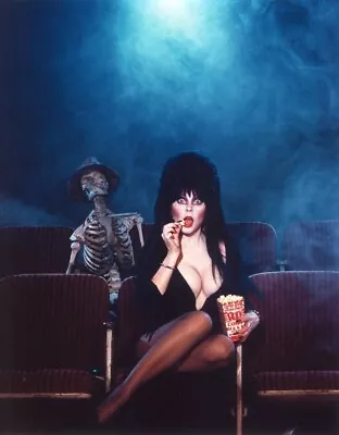 Cassandra Peterson  Elvira   Mistress Of The Dark  SEXY  Pin-Up  PHOTO! #(215) • $9.99