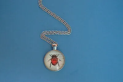 SCARAB Lucky Beetle Cabochon PENDANT -  NECKLACE  New!  Jewelry  USA SELLER!!! • $4.99