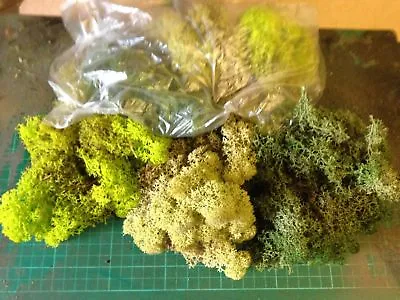 99p Value Trainmad Model Moss Scenery 3 Colours  HORNBY Rail War Slot Doll Tree • £0.99