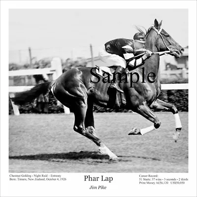 Phar Lap Classic Black & White Print Horseracing Melbourne Cup • $45