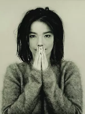 £15.99 • Buy Bjork Poster Print A (CHOOSE SIZE - A5/A4/A3/A2/A1)
