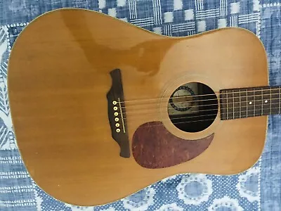 Guitar  • $800