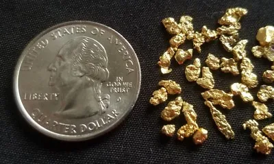 GOLD RUSH! (1) Authentic Alaskan Yukon Gold Nugget / Genuine Natural Ore Bullion • $7.95