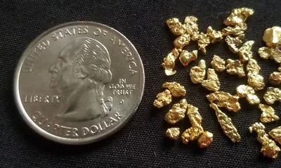 GOLD RUSH! (1) Authentic Alaskan Yukon Gold Nugget / Genuine Natural Ore • $7.95