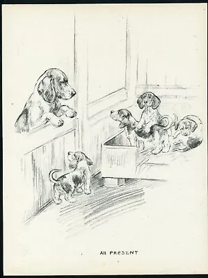 BEAGLE MUM & PUPS DOG LOVELY VINTAGE 1937 SKETCH PRINT PAGE By K F BARKER • £7.99