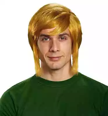 Link The Legend Of Zelda Video Game Nintendo Licensed Adult Mens Cosume Wig • $31.95