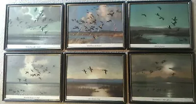 £49.11 • Buy Lot Of 6 Laminated & Framed 1953 Sir Peter Scott Prints, Canada Ducks And Geese 