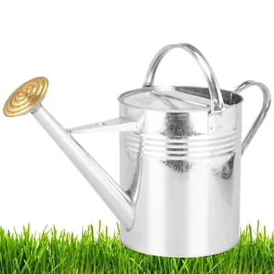 Galvanized Metal Steel Watering Can And Brass Rose Spout • £19.95