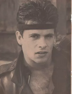 Lorenzo Lamas Headband Portrait Pinup Matt Dillon Heather Locklear Picture Photo • $4