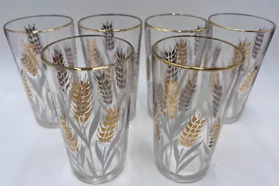 6 Vintage MCM Gold Rimmed White And Gold Wheat Print Drinking Glasses Barware • $32