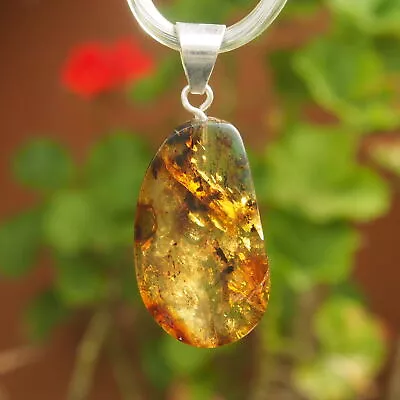 Mexican Amber Slice Pendant Extra Small • $18