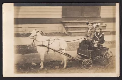 GRUMPY FACE GIRL & HAPPY BOY In STINKY RENTAL GOAT CART ~ 1910s RPPC PHOTO • $9.99