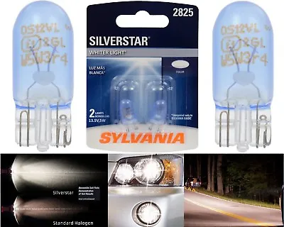 Sylvania Silverstar 2825 5W Two Bulbs License Plate Tag Light Replace Fit Stock • $12.35